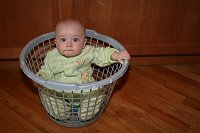  Mommy wait! Aren't you supposed to take me out of my clothes before you put them in the laundry basket?
