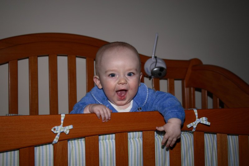 jvi_2006-12-2